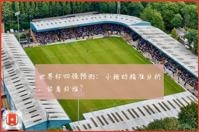 世界杯四强预测:小猪的精准分析,你看好谁?
