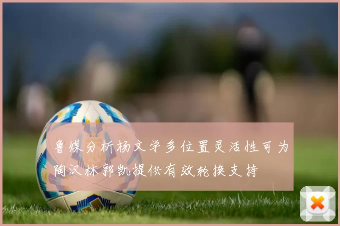 鲁媒分析杨文学多位置灵活性可为陶汉林郭凯提供有效轮换支持