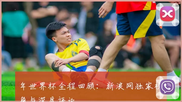 年世界杯全程回顾：新浪网独家视角与深度评论