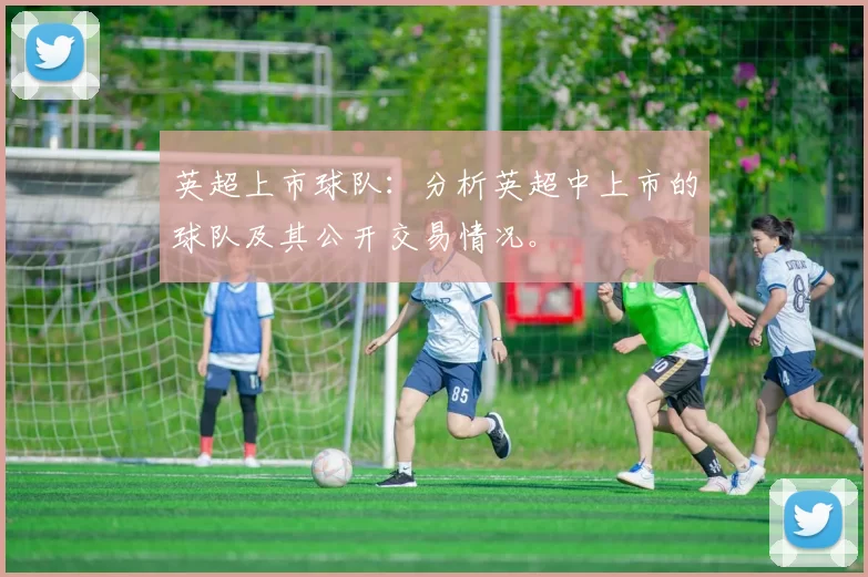 英超上市球队:分析英超中上市的球队及其公开交易情况。