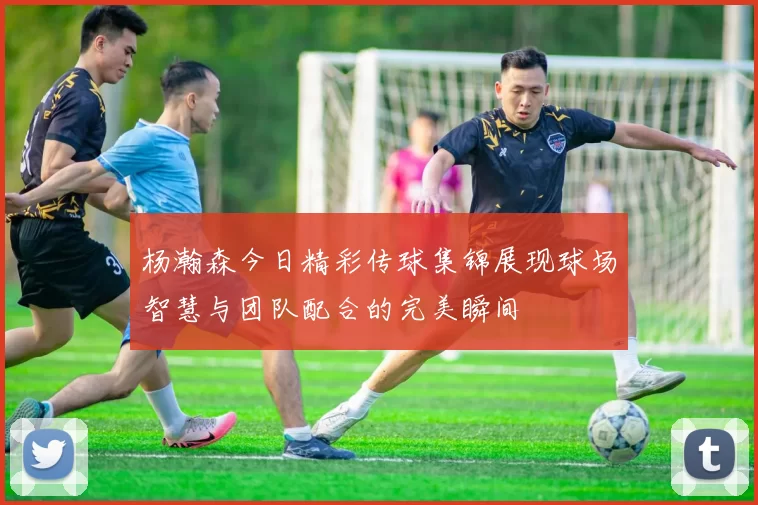 杨瀚森今日精彩传球集锦展现球场智慧与团队配合的完美瞬间