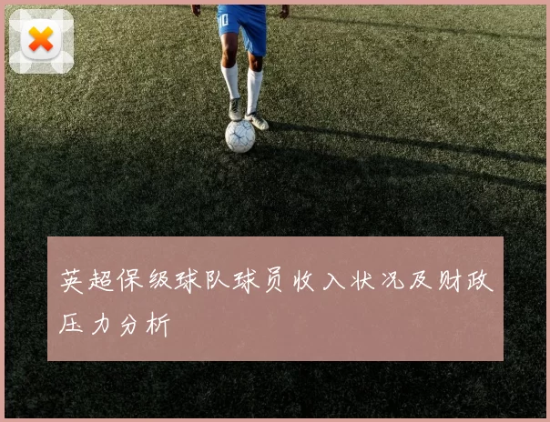 英超保级球队球员收入状况及财政压力分析