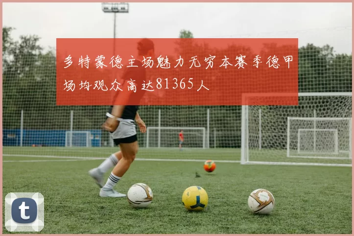 多特蒙德主场魅力无穷本赛季德甲场均观众高达81365人