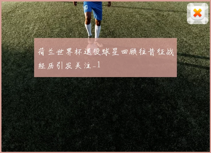 荷兰世界杯退役球星回顾往昔征战经历引发关注_1