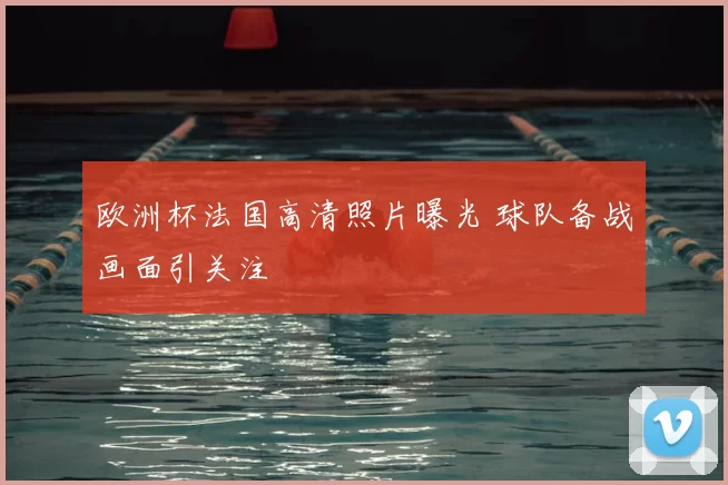 欧洲杯法国高清照片曝光 球队备战画面引关注