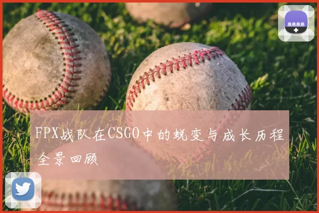 FPX战队在CSGO中的蜕变与成长历程全景回顾