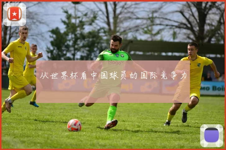 从世界杯看中国球员的国际竞争力