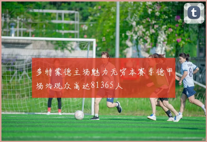 多特蒙德主场魅力无穷本赛季德甲场均观众高达81365人
