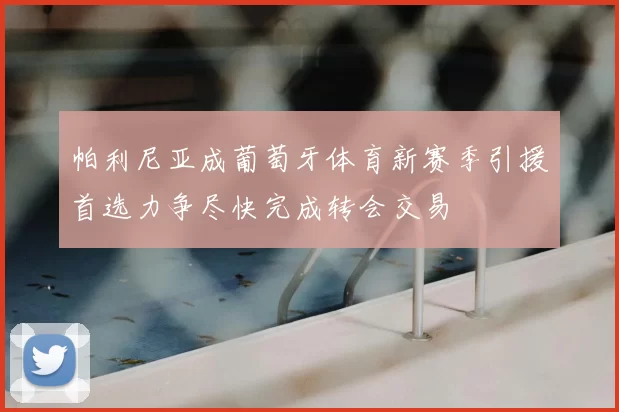 帕利尼亚成葡萄牙体育新赛季引援首选力争尽快完成转会交易