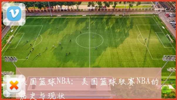 美国篮球NBA：美国篮球联赛NBA的历史与现状