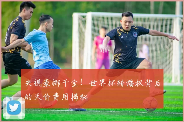 央视豪掷千金！世界杯转播权背后的天价费用揭秘