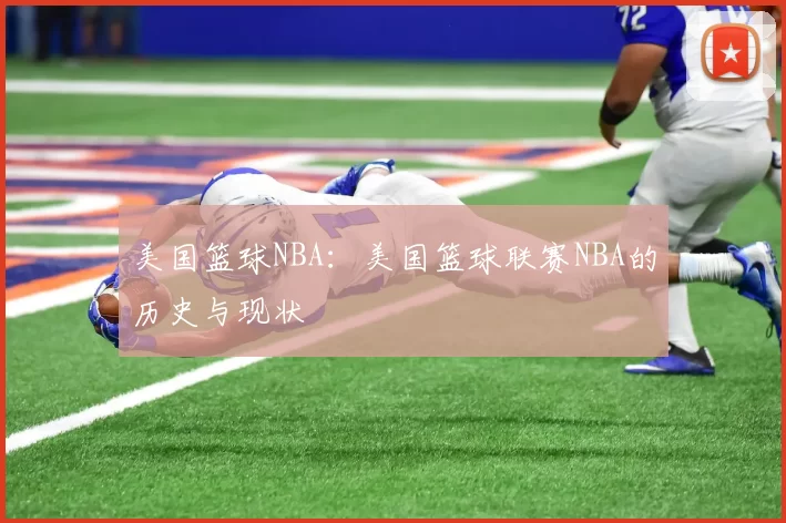 美国篮球NBA：美国篮球联赛NBA的历史与现状