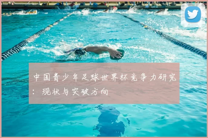 中国青少年足球世界杯竞争力研究:现状与突破方向