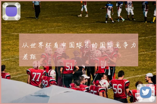 从世界杯看中国球员的国际竞争力差距