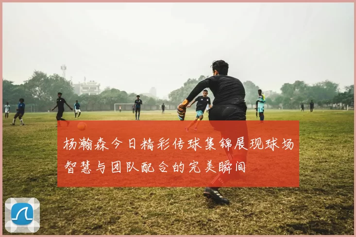 杨瀚森今日精彩传球集锦展现球场智慧与团队配合的完美瞬间